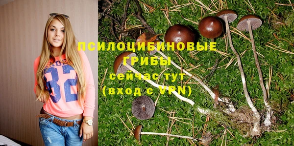 прущие крисы Новокубанск